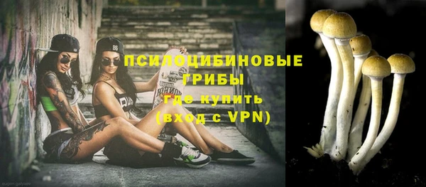 ECSTASY Горнозаводск