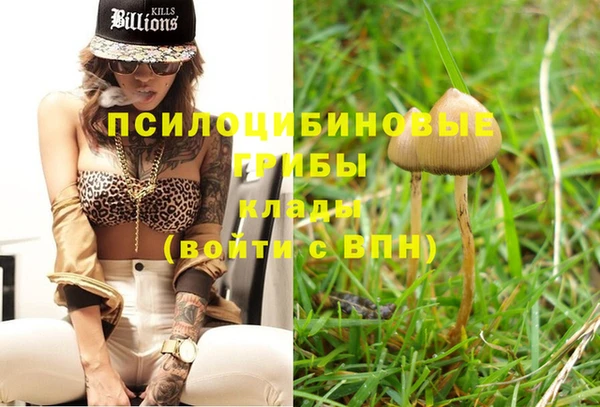ECSTASY Горнозаводск