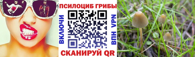 Галлюциногенные грибы ЛСД  хочу   Новошахтинск 